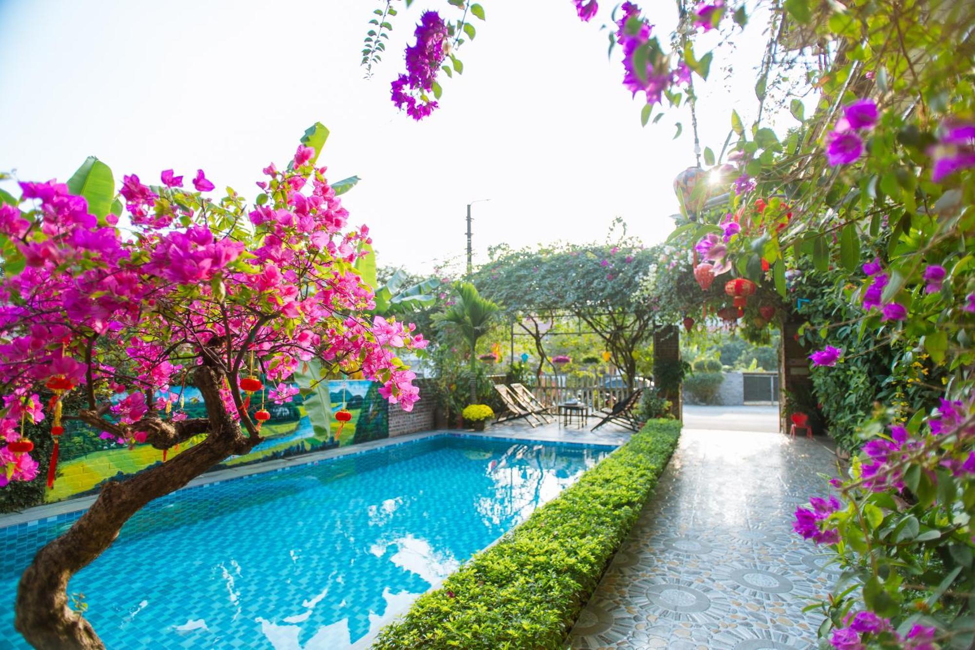 Tam Coc Viet Ha Homestay Νιν Μπιν Εξωτερικό φωτογραφία